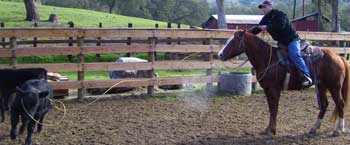 Cody Roping Calves at the Cosca Ranch 