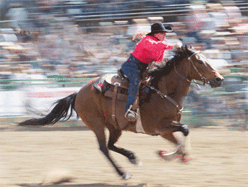 Noel Cosca raised and trained Red Hot Howie quarter horse gelding