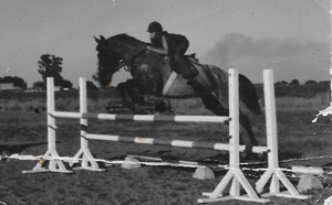 Buzz at C-N Futurity Chowchilla, CA