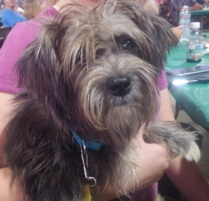 Buddy at the NSBRA Award Dinner.