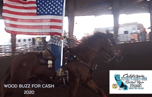 Wood Buzz for Cash places in the 2D Average Awards for the Derby Feb 2020