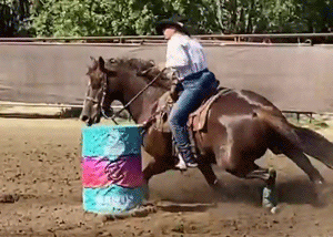 Noel Cosca riding Buzz at C Bar N 2022