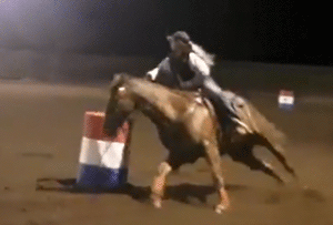 Wood Buzz for Cash place in the 1D at Copper Creek Arena Jan 14 2020