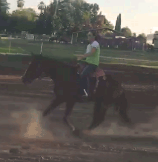 Rena Elkins is riding Buzz for me in October