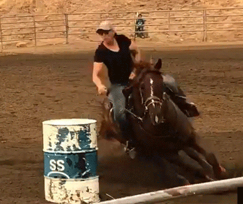 Noel Cosca riding Wood Buzz for Cash placing in the 1D ACBRA Labor Day Weekend