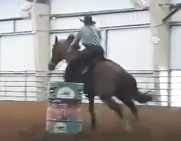Wood Get The Cash Sitting at the Top of the Standings Futurity WCBRA Jan 30th 2021