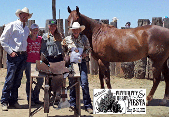 Wood Buzz For Cash 6 yr old gelding ridden by Noel Cosca wins Fiesta Futurity Derby Saddle 2D