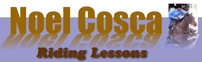 Barrel Racing Lessons 
					align=