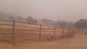 Cosca Livestock Ranch Smoke after Creek Fire.
