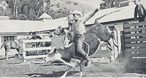 Steve Riding Calf at Skyline Ranch 
