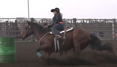 Noel Cosca riding Tom and Nugget at Candy Cane Classic