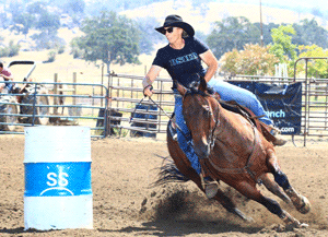 Tom and Wood Buzz for Cash place in the 2D