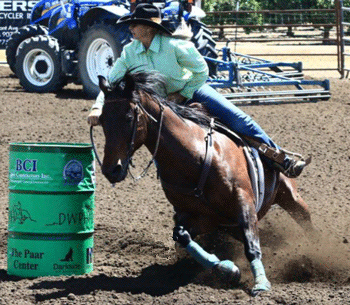 Wood Get the Cash 6 yr old gelding ridden by Noel Cosca wins Fiesta Futurity Derby Saddle 2D