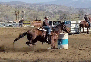 Wood Get The Cash Sitting at the Top of the Standings Futurity WCBRA Jan 30th 2021