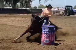 Noel Cosca riding Red Hot Howie lands in the 2D Average at A-Z Memorial race sanctioned WCBRA at Triple C