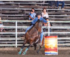 Noel Cosca Laton Rodeo and Sitting at the Top of the 777 Open Year End Standings March 2022
