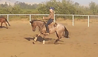 Howie Driftin TomGrl 2 yr old filly ridden by Noel Cosca