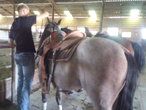 Filly Born by Cosca Ranch mare Cashy Driftwood