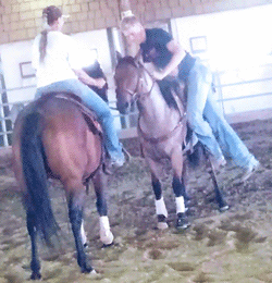 Filly Born by Cosca Ranch mare Cashy Driftwood