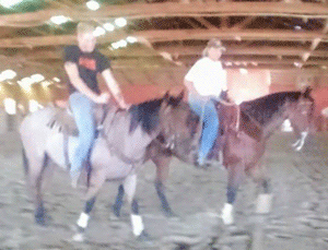 Filly Born by Cosca Ranch mare Cashy Driftwood