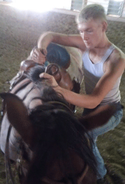 Filly TomGrl 14mo Born at Cosca Ranch mare Cashy Driftwood