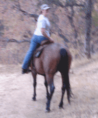 Noel Cosca riding Red Hot Howie at Rafter D in Brentwood, CA