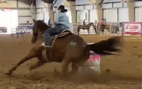 Wood Get The Cash Sitting at the Top of the Standings Futurity WCBRA Jan 30th 2021