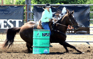 Wood Get the Cash 6 yr old gelding ridden by Noel Cosca wins Fiesta Futurity Derby Saddle 2D