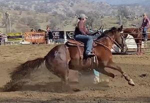 Wood Get The Cash Sitting at the Top of the Standings Futurity WCBRA Jan 30th 2021
