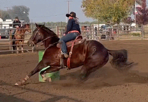 Noel Cosca riding Tom and Nugget in Candy Cane Classic 2021