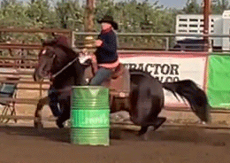 Noel Cosca riding Tom and Nugget at Candy Cane Classic